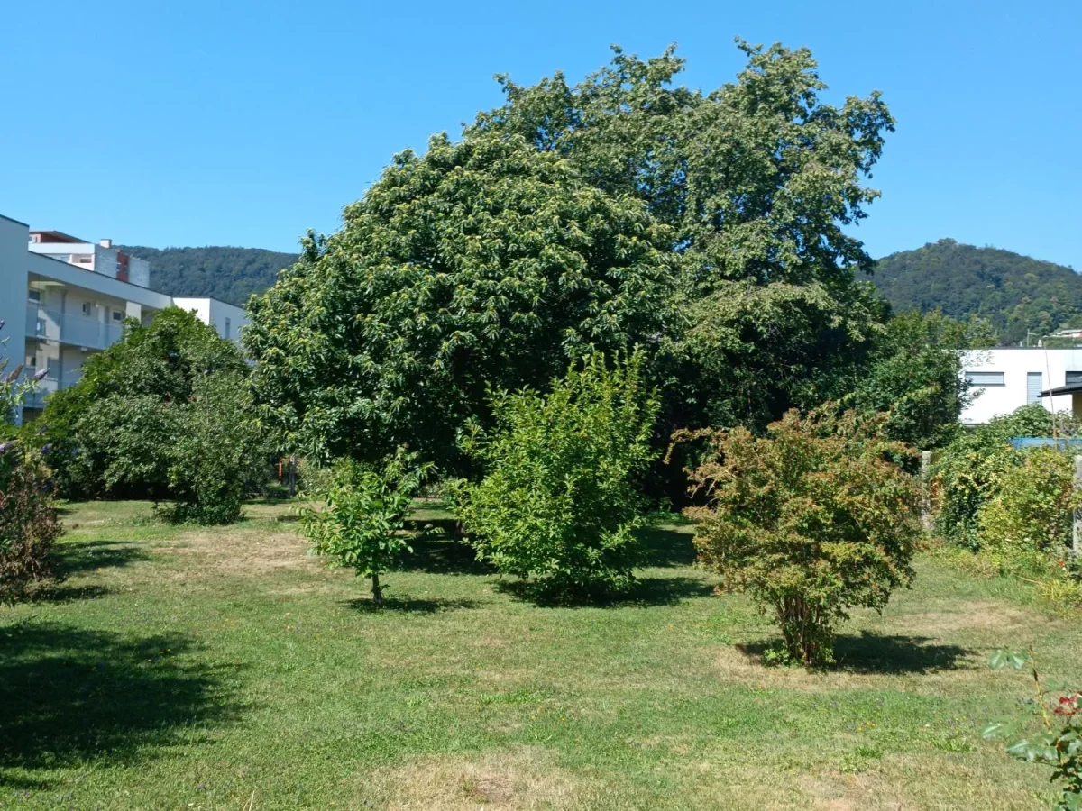 verkauf-bautragergrundstuck-graz-wetzelsdorf-referenz-6999e6e64c5c1